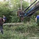 Maibaum aufstellen 2018