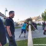 Maibaum aufstellen 2018