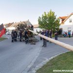 Maibaum aufstellen 2018