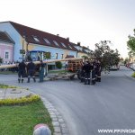 Maibaum aufstellen 2018