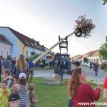 Maibaum aufstellen 2018