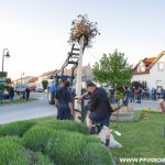 Maibaum aufstellen 2018