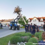 Maibaum aufstellen 2018