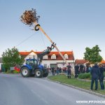 Maibaum aufstellen 2018