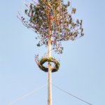 Maibaum aufstellen 2018