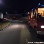 Schadstoffeinsatz (S1) am 24.06.2021 in Probstdorf