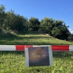 Übungen » Einsatzübung 