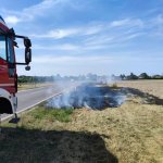 Brandeinsatz (B1) Vegetationsbrand in Probstdorf am 12.08.2024