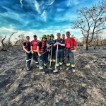 Einsätze » Brandeinsatz (B3) - Vegetationsbrand groß (Wald) in Gänserndorf am 03.09.2024