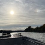 sinkendes Boot auf der Donau am 12.10.2024