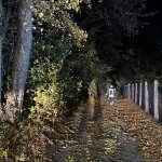 Einsatzübung "Verkehrsunfall mit Menschenrettung"