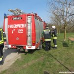 APLE Prüfung 2017